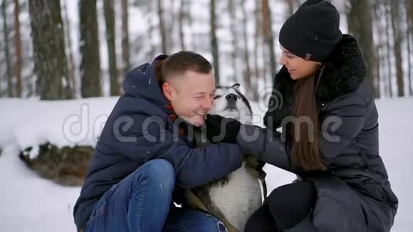 家庭肖像可爱的幸福夫妇拥抱他们的阿拉斯加马拉木特狗舔男人脸可爱的小狗视频的预览图