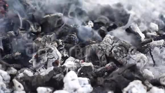 燃烧着的灰烬和篝火上的灰烬视频的预览图