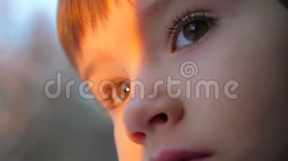 好奇的男孩的脸年轻男孩的积极情绪乘火车旅行的概念有着严肃面孔的孩子的眼睛视频的预览图