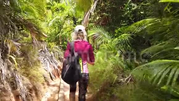 可可美棕榈树步行第三人称景观视频的预览图