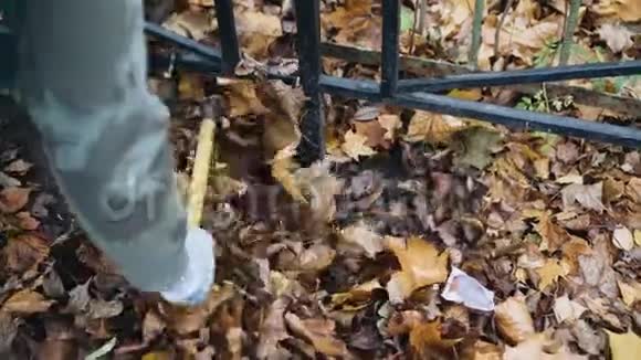 一个女人从黑色金属栅栏下耙树叶快关门秋天视频的预览图