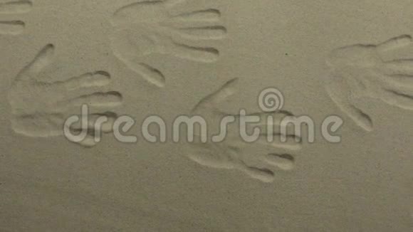 全景人的手印在沙子上沙子上有很多手印视频的预览图
