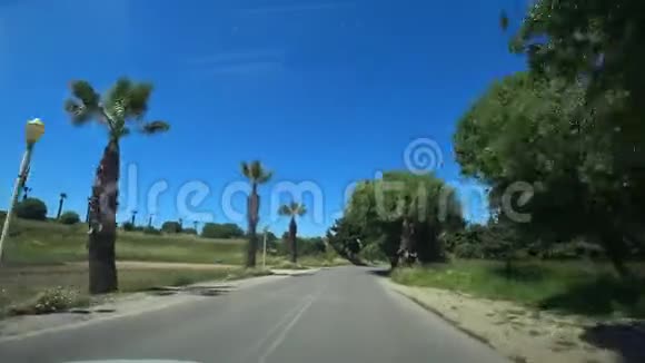 车辆沿空街行驶今年夏天POV汽车驶下棕榈路视频的预览图
