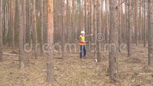 年轻的白种人的男林员检查森林中的树木是否损坏以及一只树皮甲虫森林的卫生砍伐情况视频的预览图