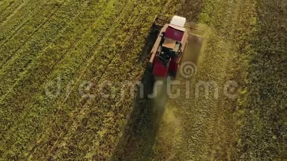 老式联合收割机在粮食工业和农业综合企业的一个领域收割小麦视频的预览图