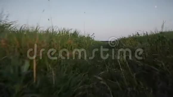 摄像机在田野的草地上低低移动最后急剧上升视频的预览图