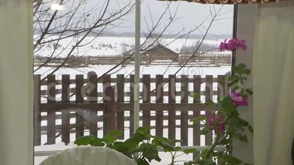 窗台上的一束花园花窗外冬季景观视频的预览图
