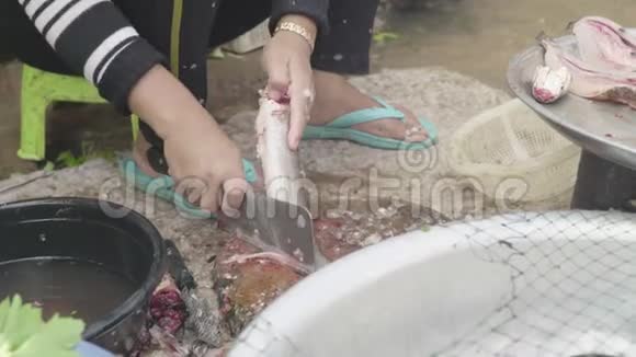 西哈努克城的市场柬埔寨亚洲用刀切鱼视频的预览图