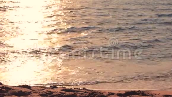 日出时在美丽的海边散步的小女孩暑假快乐视频的预览图