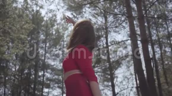 肖像肖像画优雅的妇女身体穿着红色的衣服在森林里女士在天空中举手视频的预览图