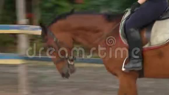 马童骑着一匹棕色的马在户外沙场驰骋鬃毛竞技骑手训练服装视频的预览图