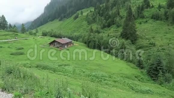 维默塔尔山谷的农场谷仓山上的雾奥地利蒂罗尔的Zillertal山谷的一部分视频的预览图
