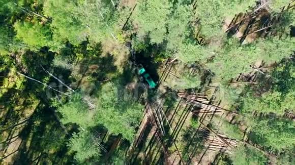 收割机正沿着森林行驶在山顶上砍树视频的预览图