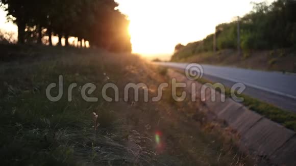 模糊的日落景观当汽车和树木行驶时风在沥青路附近的草地上刮起视频的预览图