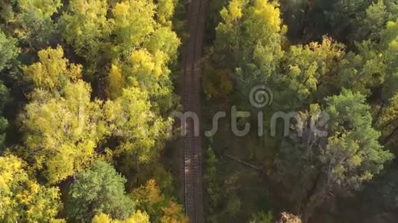 无人机正沿着铁轨飞过秋天的森林风吹动树冠视频的预览图