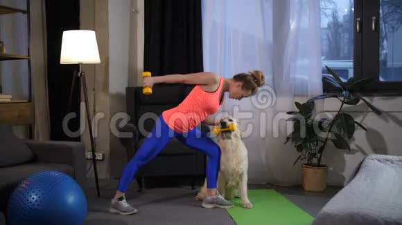 运动健康的女人带狗助手训练手臂视频的预览图