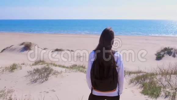女孩旅行站在沙丘之间的沙滩上看看海上度假的背面景色视频的预览图