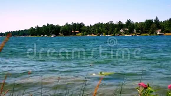 美丽的北明尼苏达湖有树木的海岸线和家园在一个阳光明媚的日子与浮舟在远处视频的预览图