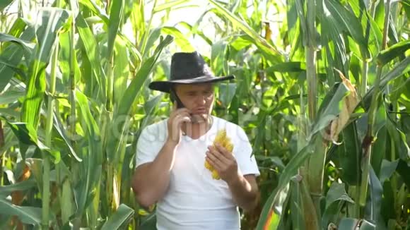 持有玉米芯的年轻农民肖像快乐的农民种植玉米视频的预览图