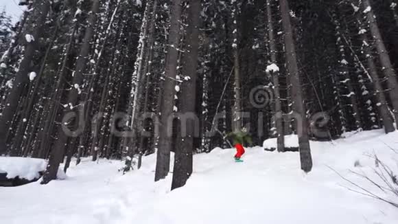 滑雪者骑在树间倒在斜坡上视频的预览图