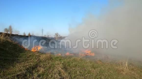 一片燃烧的田野映衬着晴朗的蓝天旱季燃烧森林大火时用火焰和烟雾中的干草视频的预览图