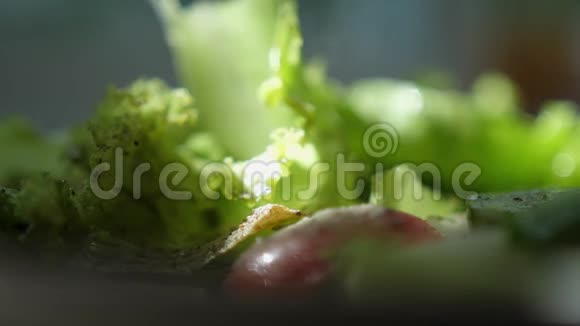 在蔬菜沙拉中加入黑粉胡椒慢动作视频的预览图