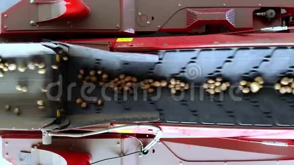 收获土豆上面的风景马铃薯块茎移动在一个特殊的机器磁带自动清理土豆污垢和视频的预览图