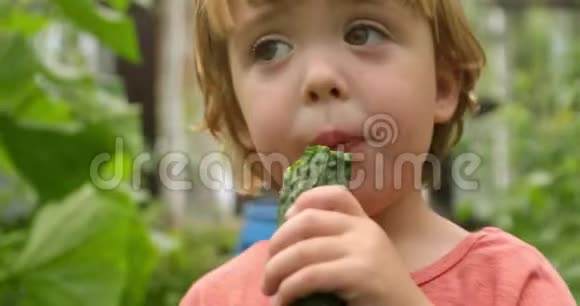 可爱的小孩在花园里吃黄瓜视频的预览图