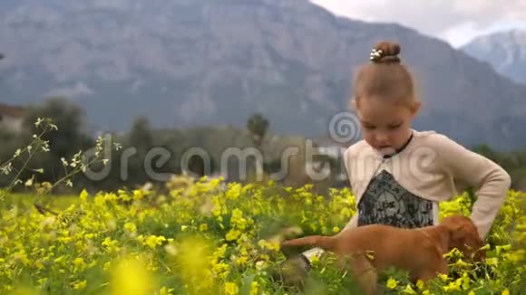 美丽的女孩坐在黄花地手里拿着小狗视频的预览图