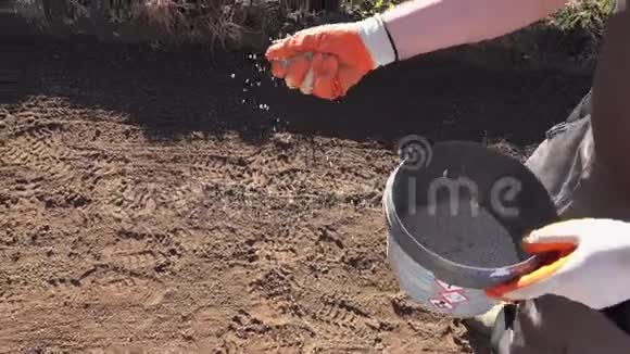 农夫园丁手里拿着化肥化学颗粒和泥土视频的预览图