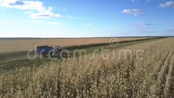 带拖车的机器沿着田野装载成熟的玉米视频的预览图