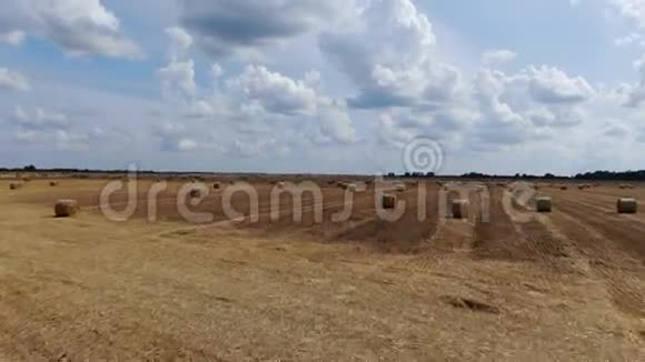 摄像机沿着田野拍摄到处都是干草捆阳光明媚4k视频的预览图