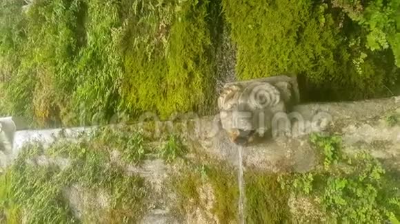 希腊安德罗斯岛的梅尼特村有著名的狮子头喷泉视频的预览图