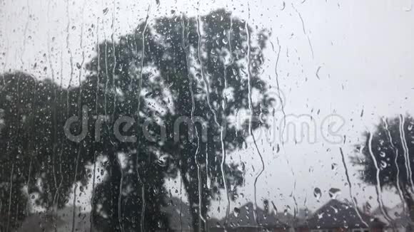 带有模糊树背景的Windows上的雨滴放松视频视频的预览图