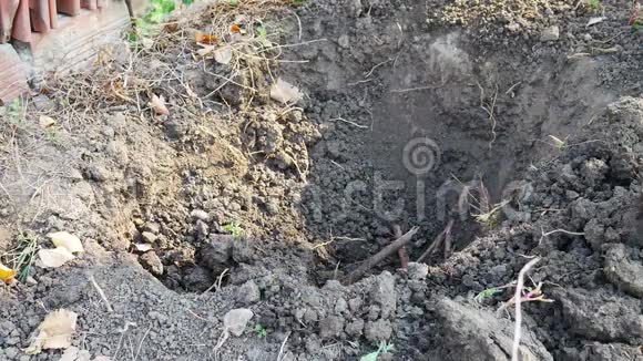 农民在土地上工作用花园锄头挖洞干地农业工具视频的预览图