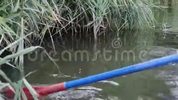 沿着污染的沼泽航行的木船在湖上的水中划桨沿着塞奇湖划船湖上的蓝色木桨巴德尔视频的预览图