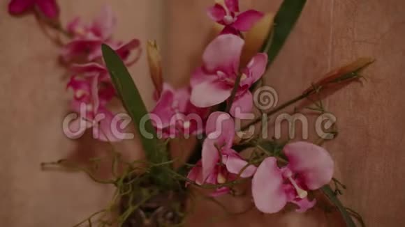 粉红色的花放在架子上的花瓶里视频的预览图