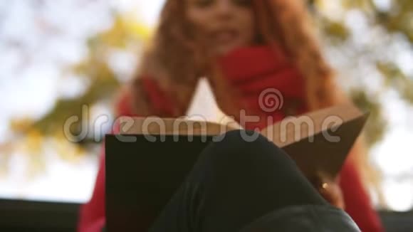 在公园里坐在长凳上看书的红卷头上的女人从低角度拍摄秋天视频的预览图