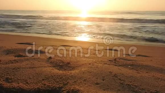金色的阳光反射在尼日利亚拉各斯的海滩上太阳在傍晚照耀着海浪在岸边拍打明亮的金色视频的预览图