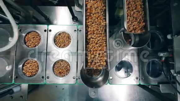 在一家食品工厂里许多烤面包被分类成容器视频的预览图