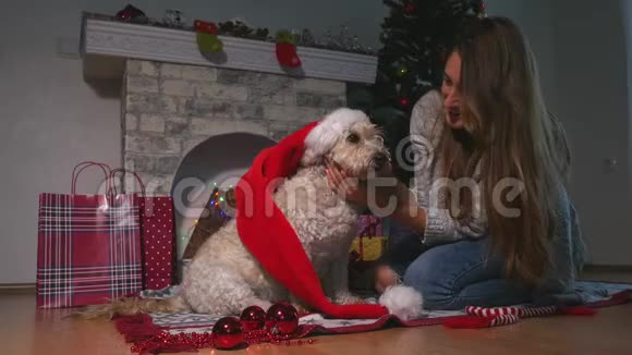 微笑年轻迷人的女人拥抱可爱的小狗狗圣诞帽视频的预览图