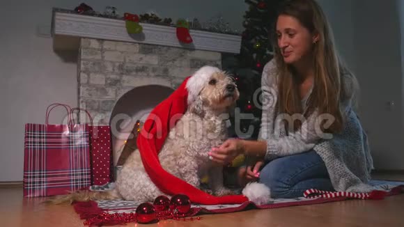 微笑年轻迷人的女人拥抱可爱的小狗狗圣诞帽视频的预览图