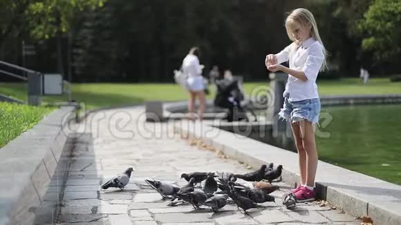 一个漂亮的女孩站在公园的一个湖的岸边向鸟儿扔面包视频的预览图