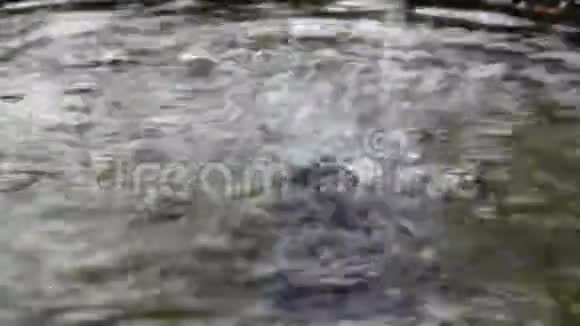 河水流动视频的预览图