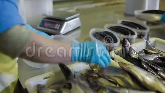 控制器检查鱼类的质量以便在海鲜厂进一步包装视频的预览图