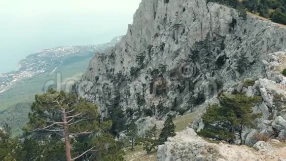 鸟瞰岩石和树木视频的预览图