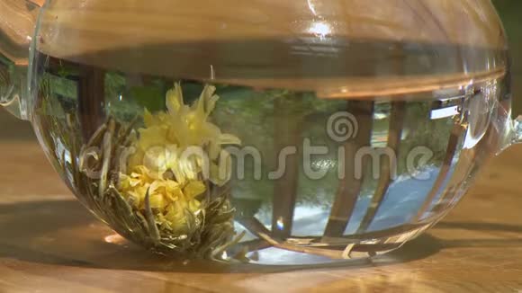 塔波底花花瓣及草本植物视频的预览图