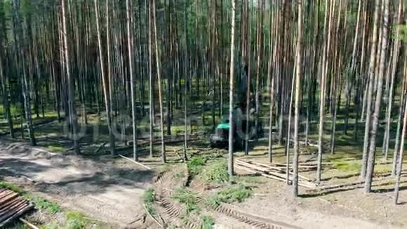 机械收割机正在顶部砍伐树木视频的预览图