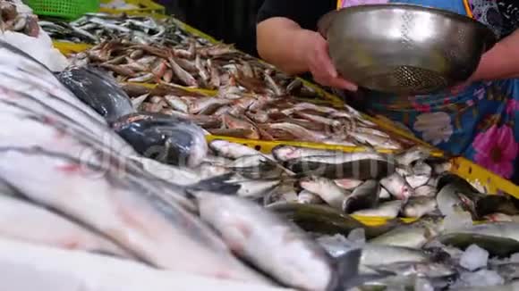 女售货员在街鱼市场卖新鲜海冰鱼海鲜店展视频的预览图