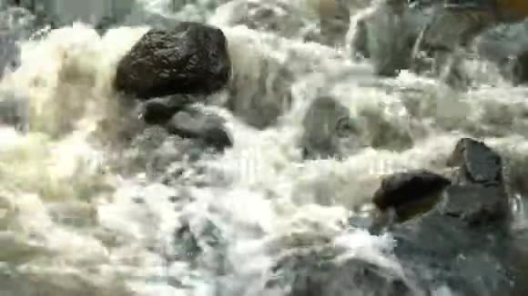 水冲过岩石和植物下面视频的预览图
